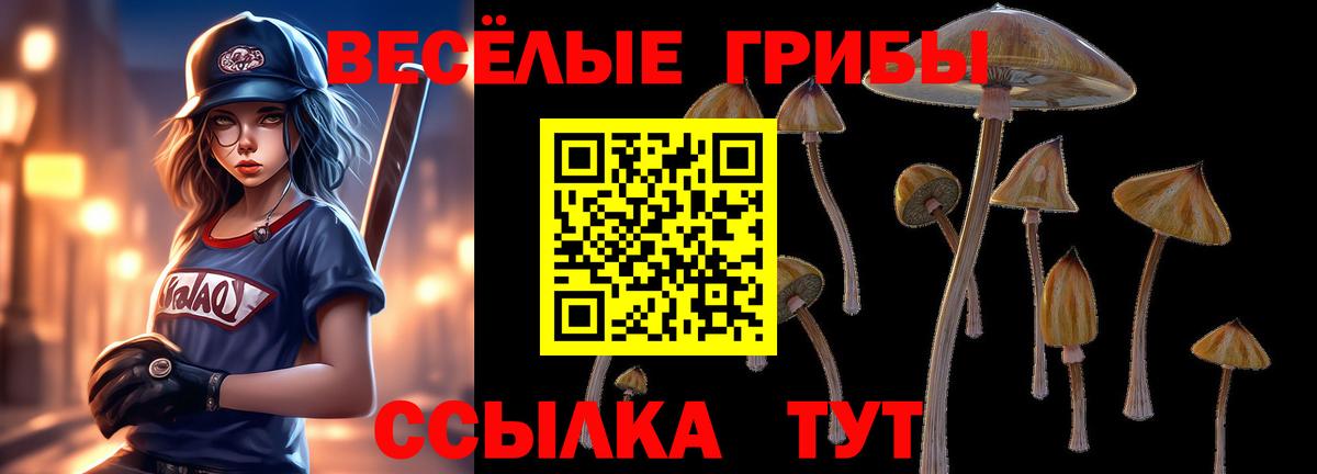 Псилоцибиновые грибы мицелий Жуковский